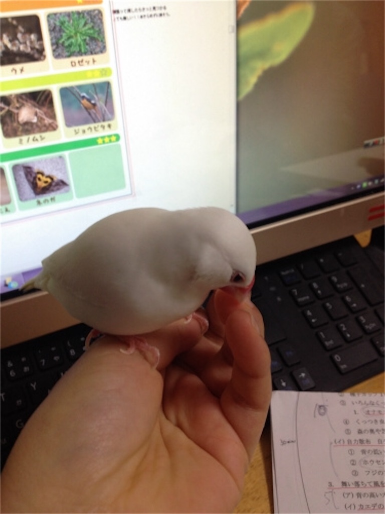 f:id:qsmet:20200626115427j:image