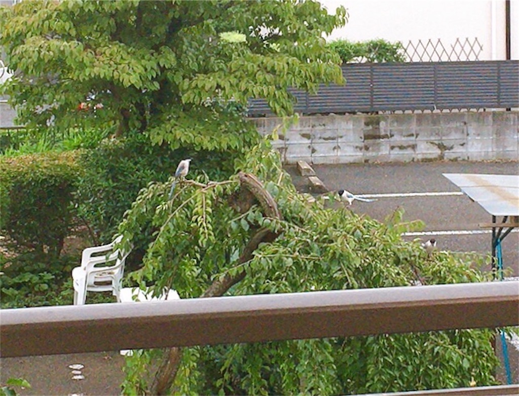 f:id:qsmet:20200726200903j:image