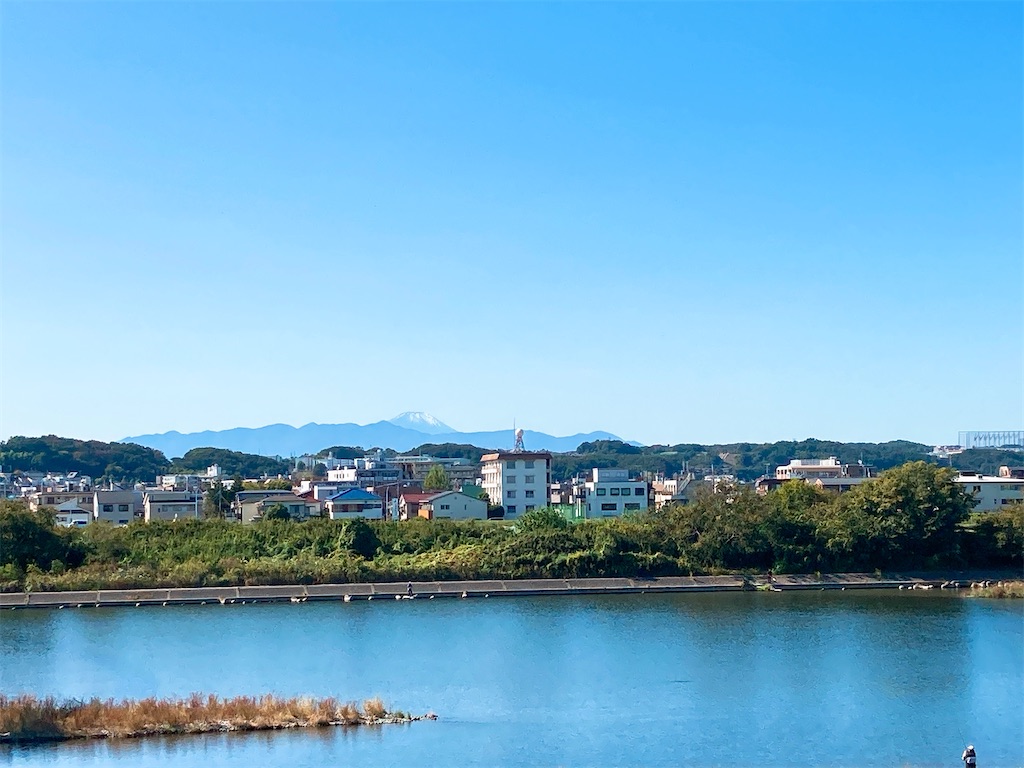 f:id:qsmet:20201103132349j:image