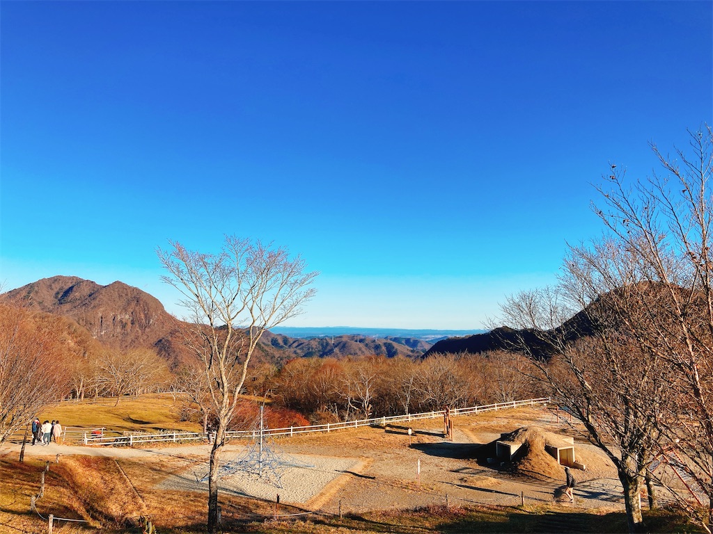 f:id:qsmet:20201123165452j:image