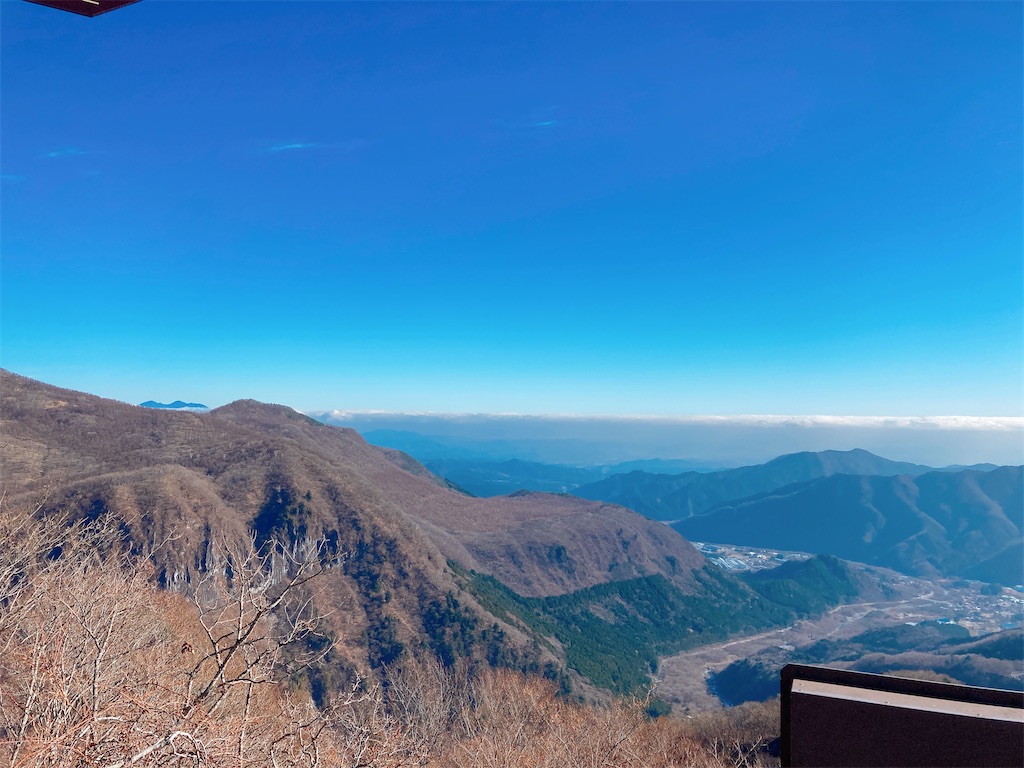 f:id:qsmet:20201123172342j:image