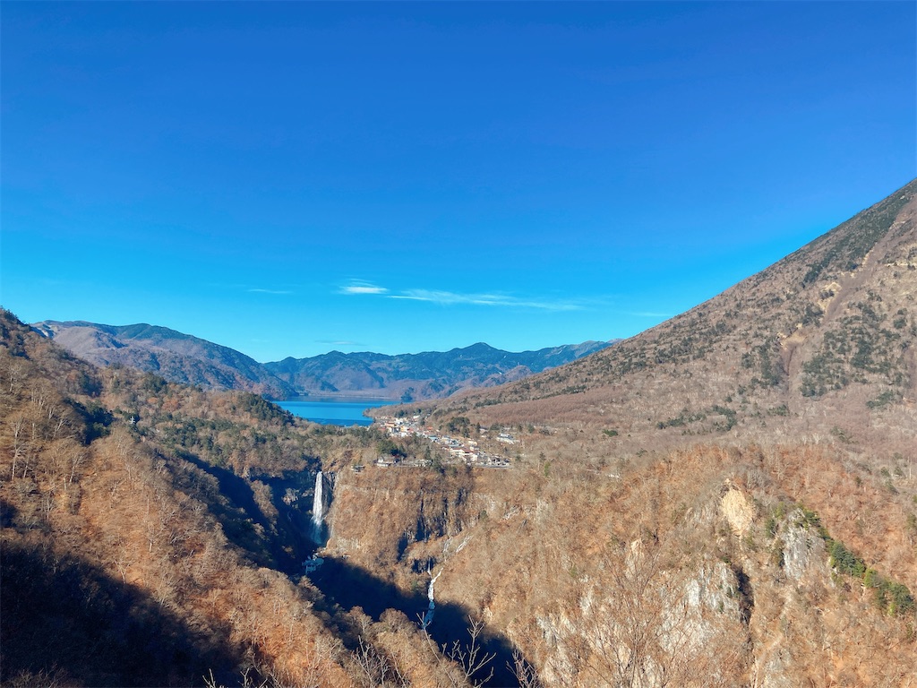 f:id:qsmet:20201123172355j:image