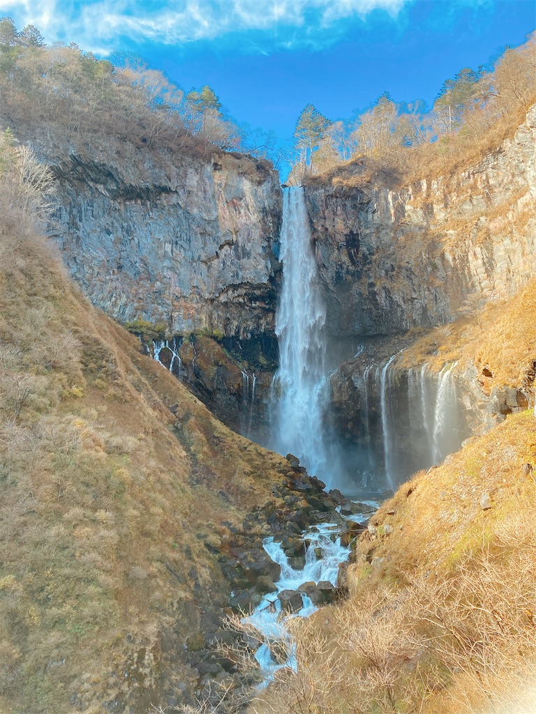 f:id:qsmet:20201123180310j:image