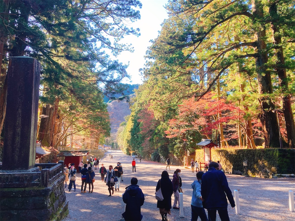 f:id:qsmet:20201124093411j:image
