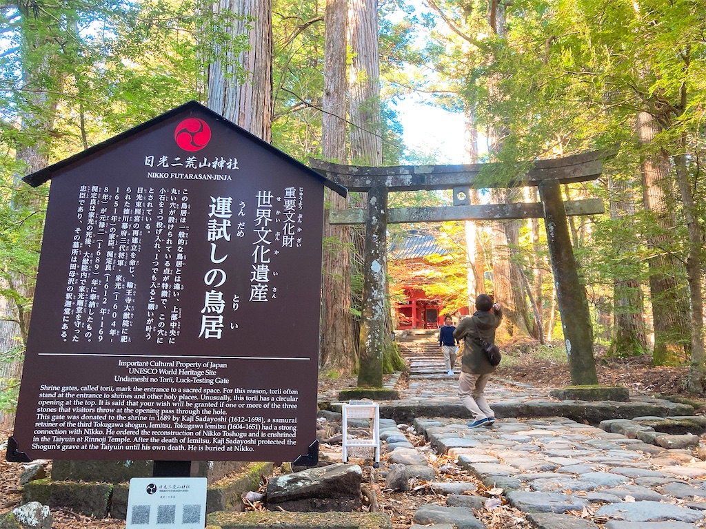 f:id:qsmet:20201124102742j:image