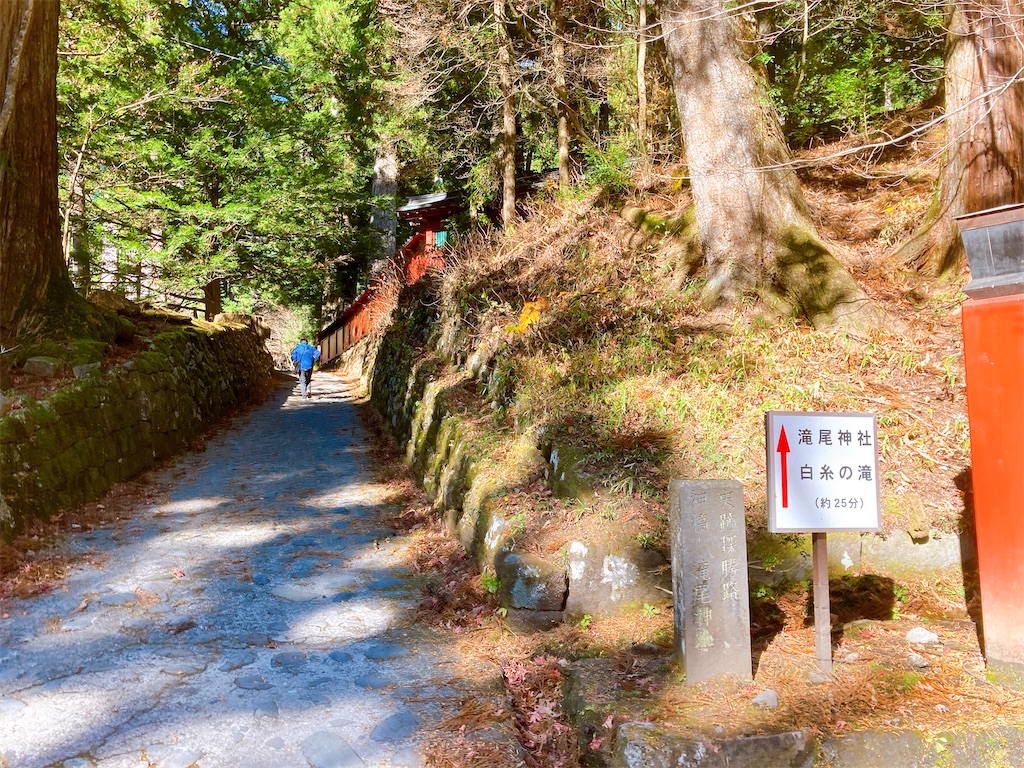 f:id:qsmet:20201124102746j:image