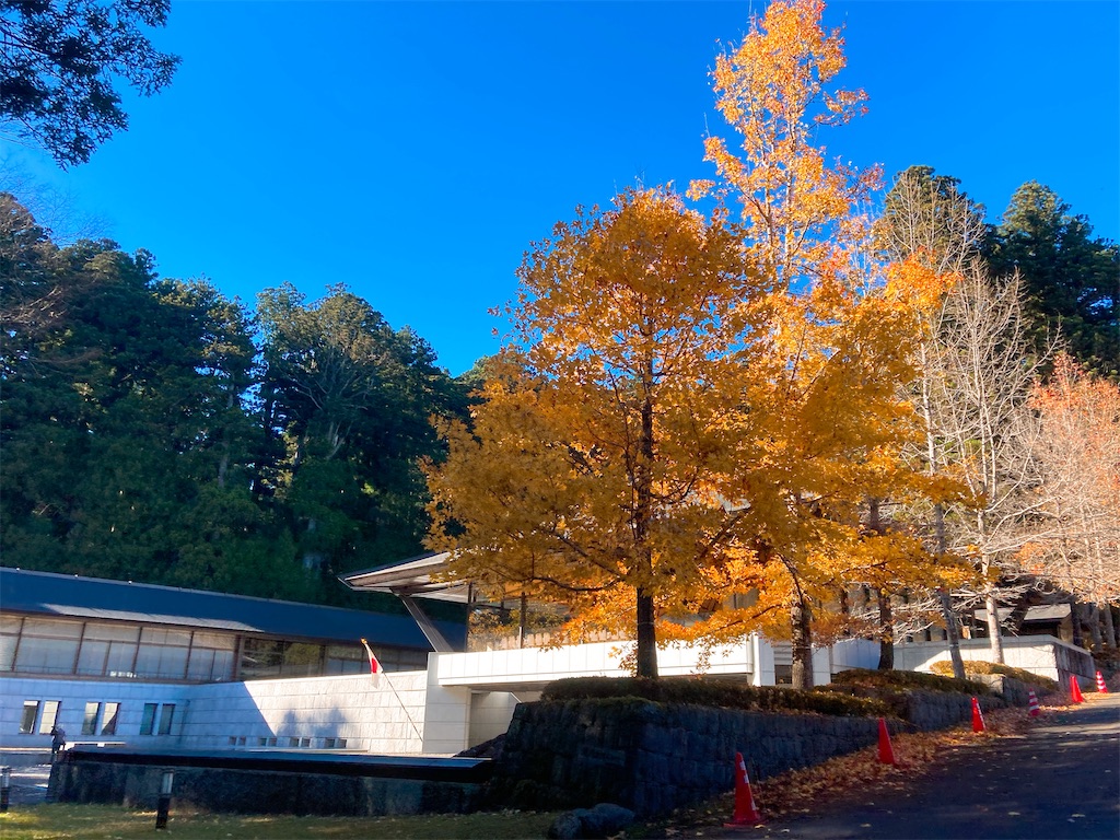 f:id:qsmet:20201124102801j:image