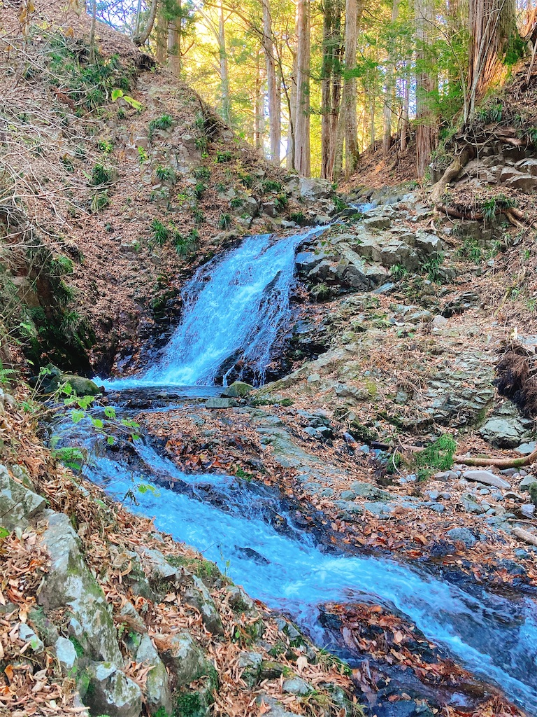f:id:qsmet:20201124104833j:image