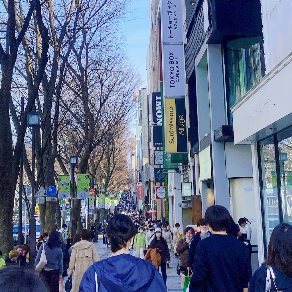 f:id:qsmet:20210312220255j:image f:id:qsmet:20210312220255j:image