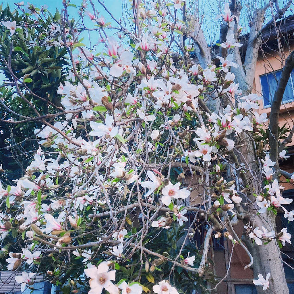 f:id:qsmet:20210324125632j:image f:id:qsmet:20210324125632j:image