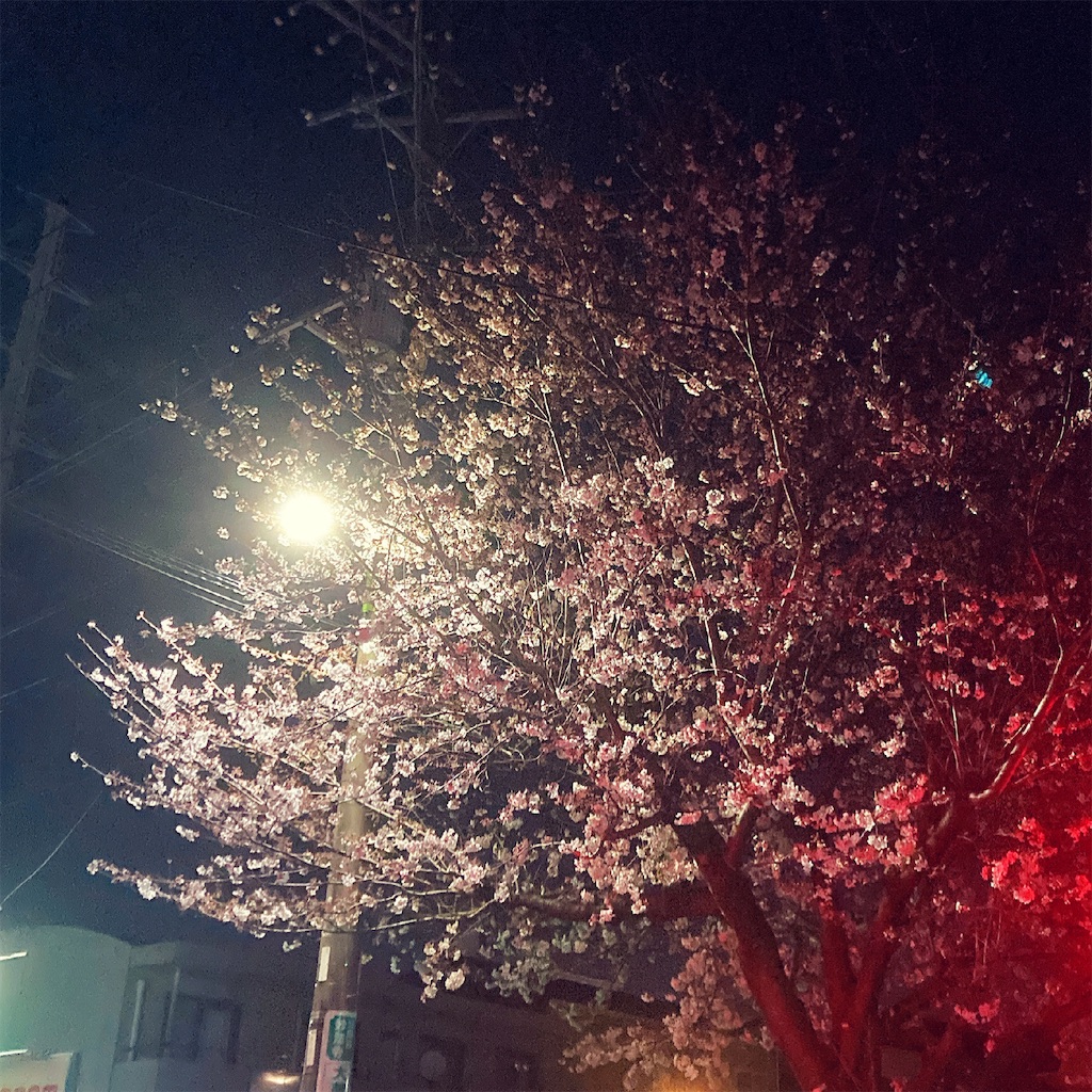 f:id:qsmet:20210326080710j:image f:id:qsmet:20210326080710j:image