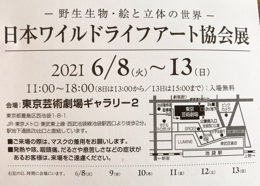 f:id:qsmet:20210529081839j:image