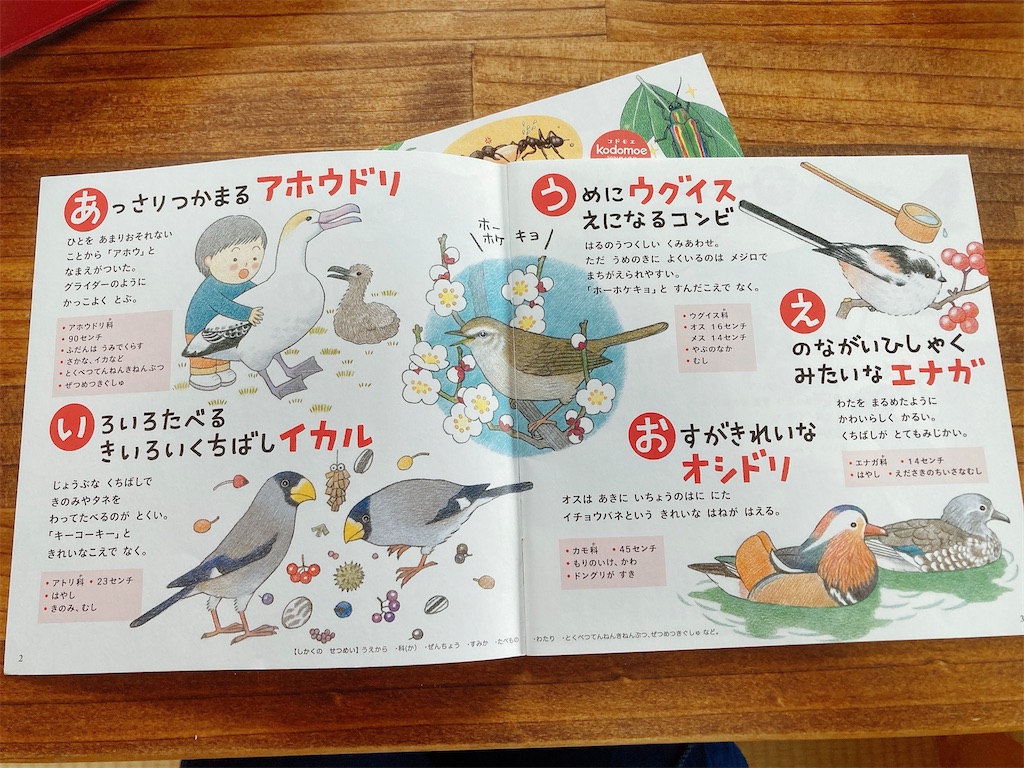 f:id:qsmet:20210606190310j:image