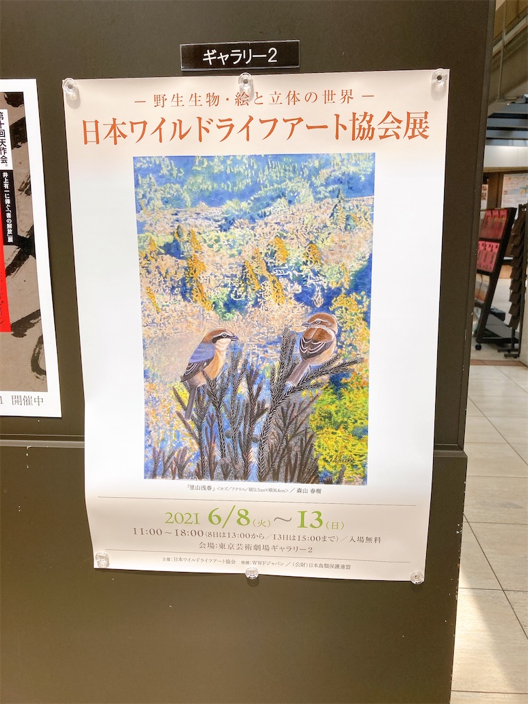 f:id:qsmet:20210613162906j:image