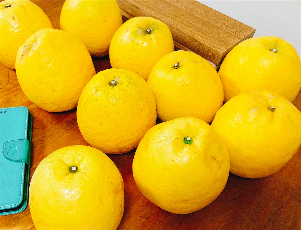 f:id:qsmet:20210703201211j:image