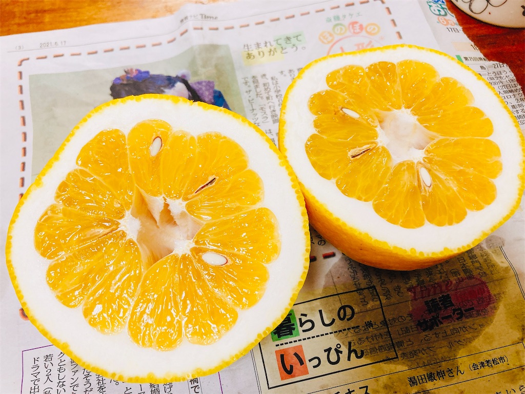 f:id:qsmet:20210703201214j:image