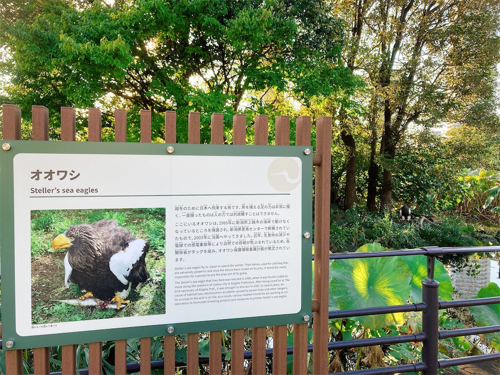 f:id:qsmet:20211025104947j:image f:id:qsmet:20211025104947j:image