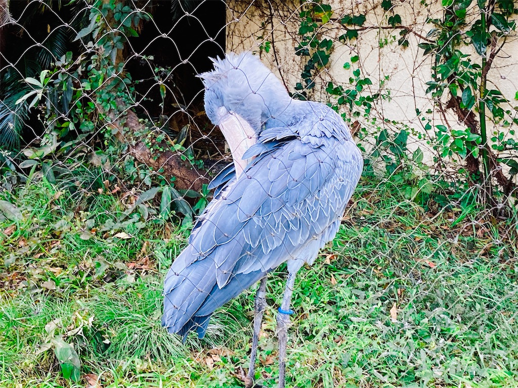 f:id:qsmet:20211025111127j:image f:id:qsmet:20211025111127j:image