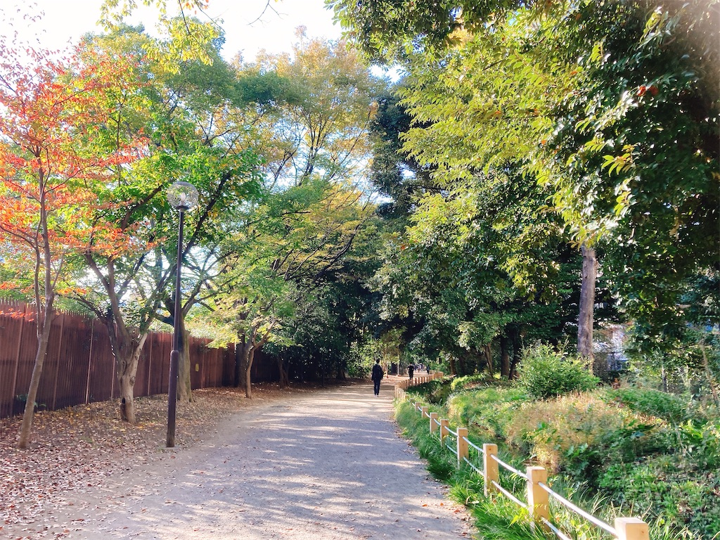 f:id:qsmet:20211108143723j:image