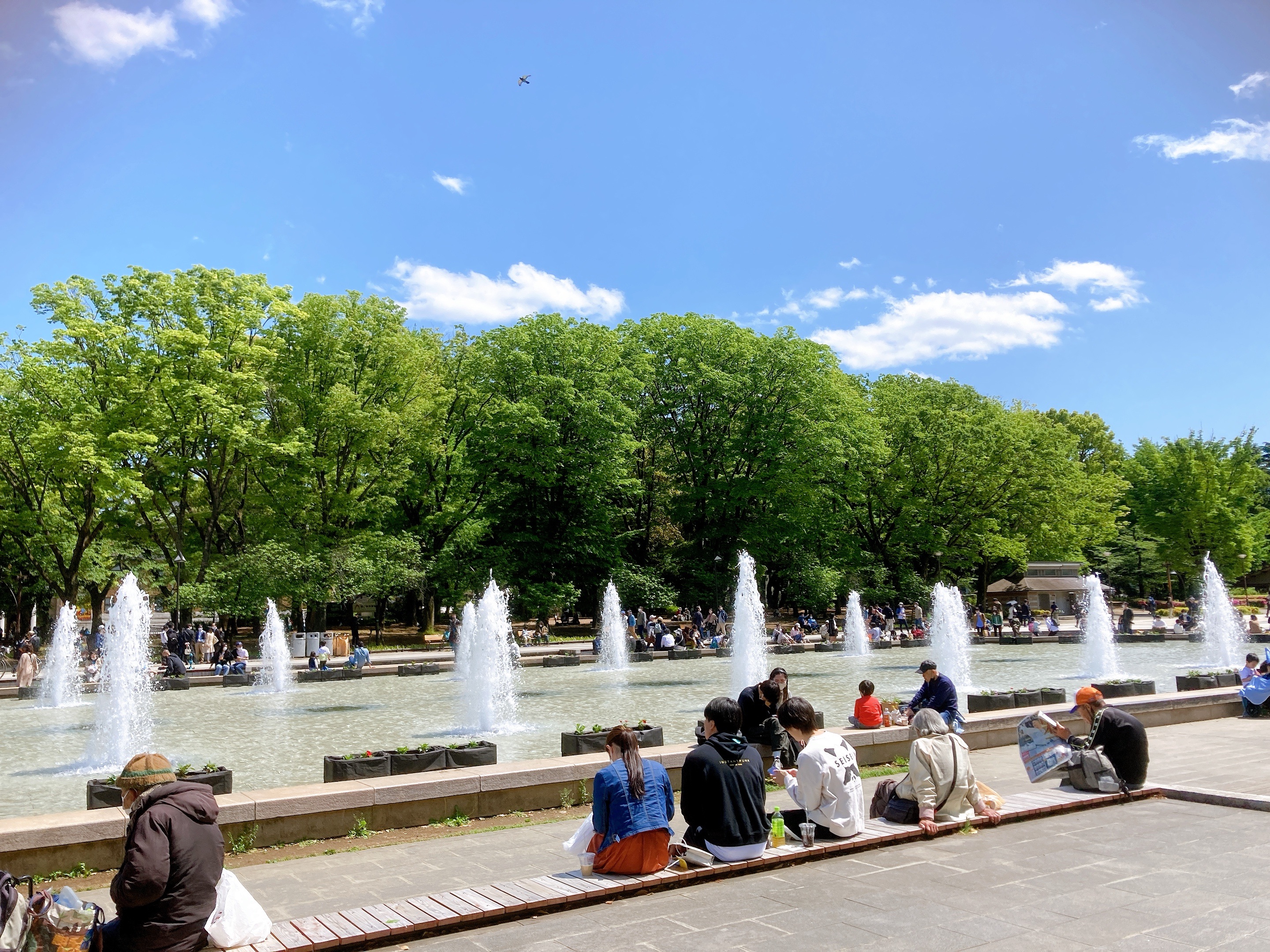 f:id:qsmet:20220430200950j:image