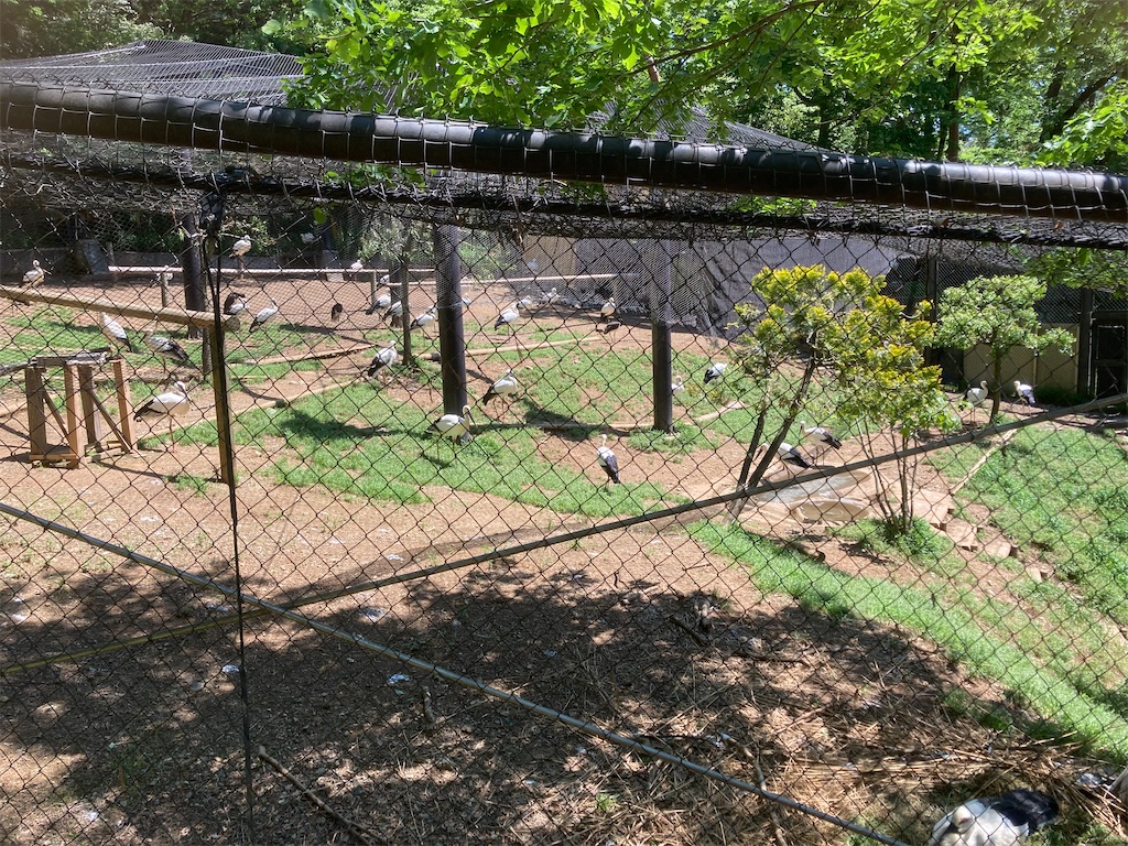 f:id:qsmet:20220504185048j:image