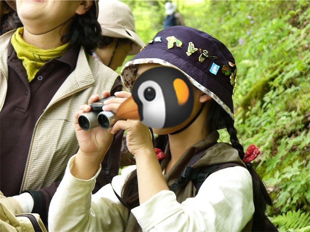 f:id:qsmet:20220807095319j:image