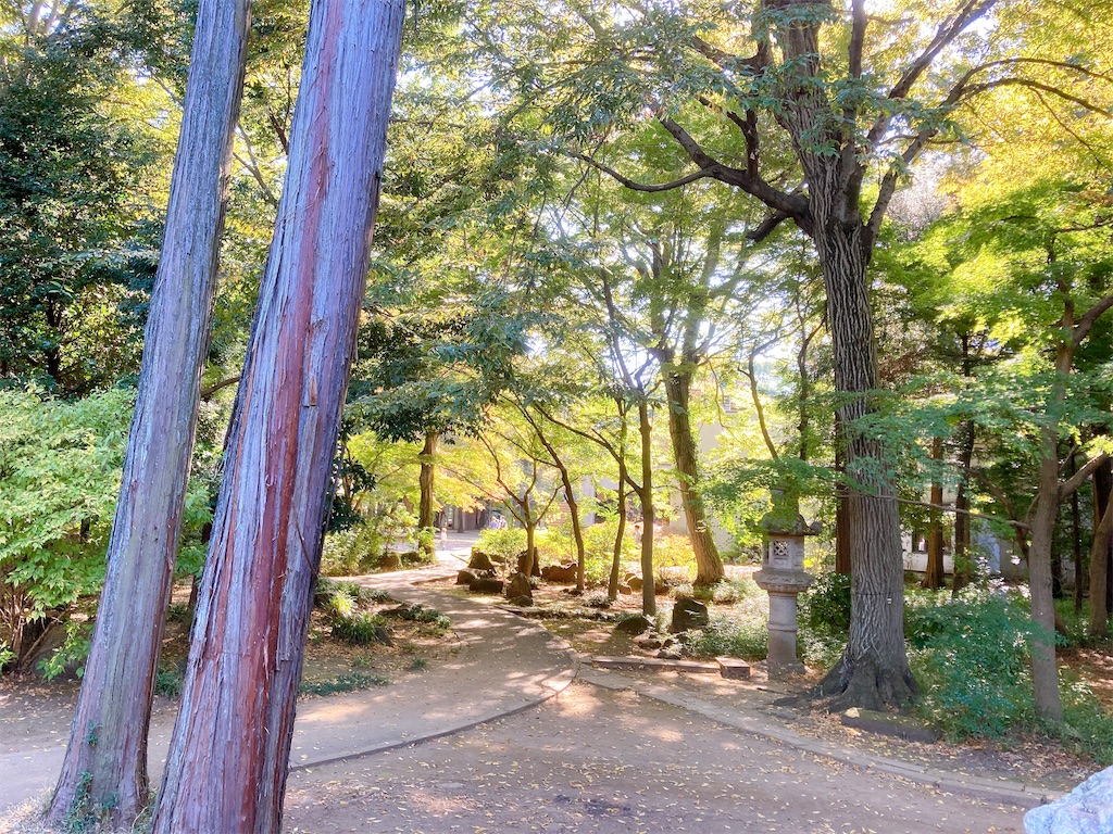 f:id:qsmet:20221103201807j:image