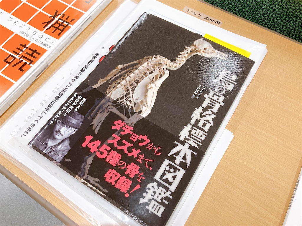 f:id:qsmet:20221120170620j:image