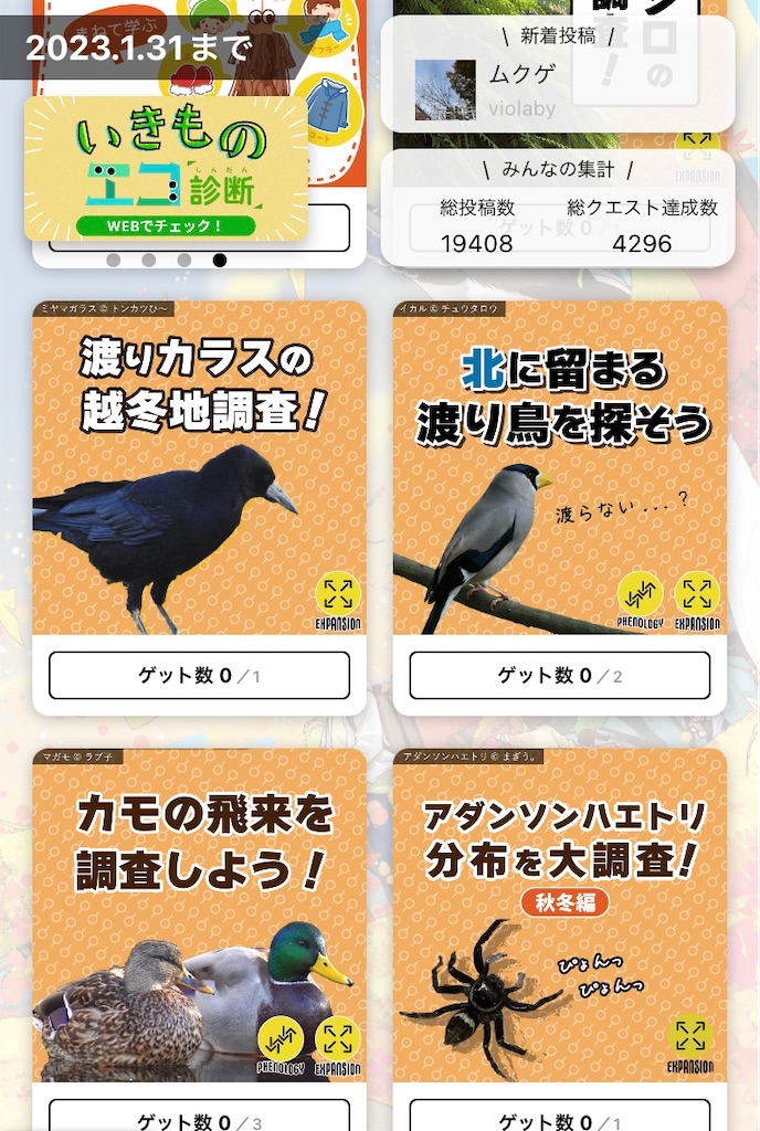 f:id:qsmet:20221124144919j:image
