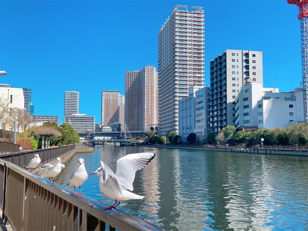 f:id:qsmet:20230320195409j:image