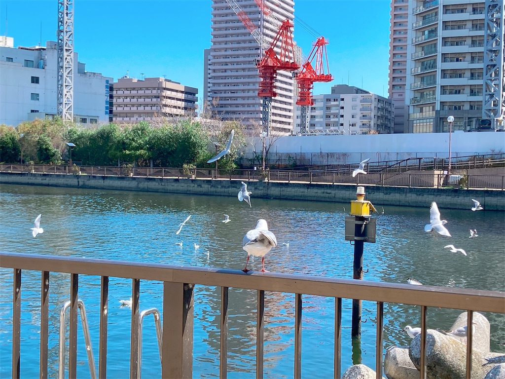 f:id:qsmet:20230320195527j:image