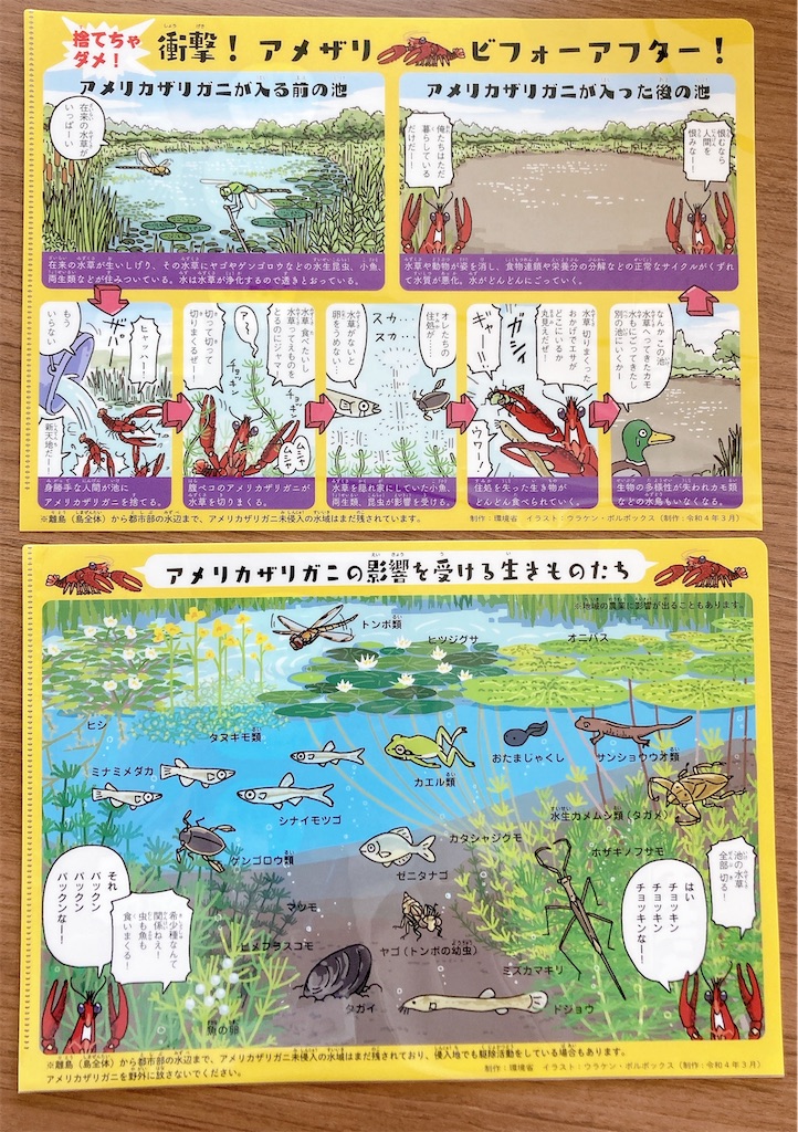 f:id:qsmet:20230601163756j:image