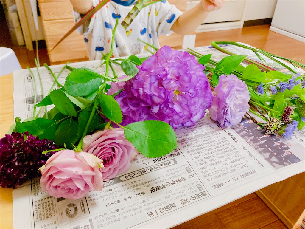 f:id:qsmet:20230624063748j:image