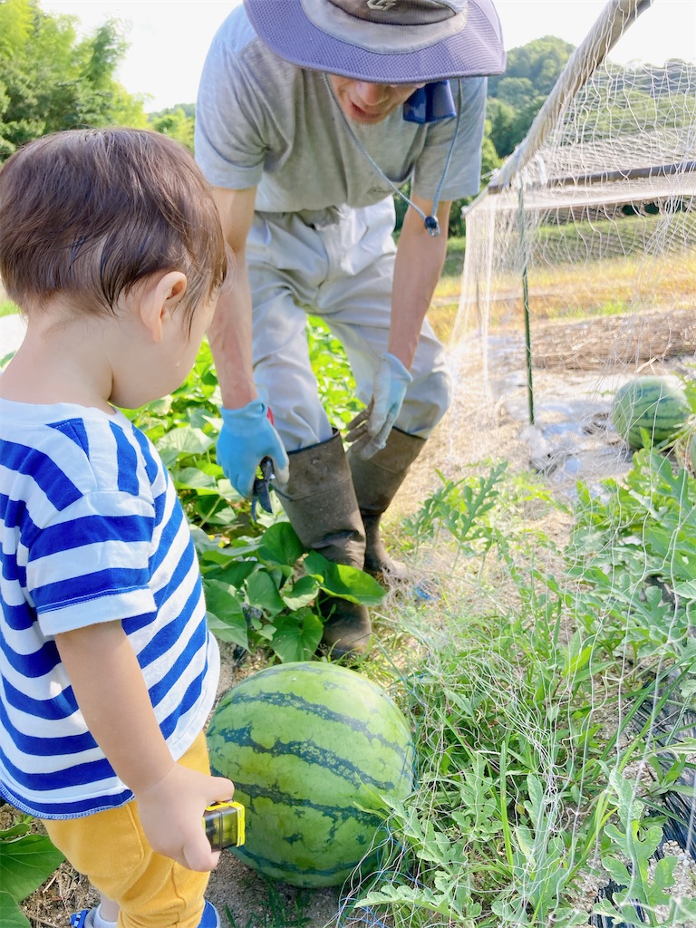 f:id:qsmet:20230718170422j:image f:id:qsmet:20230718170422j:image