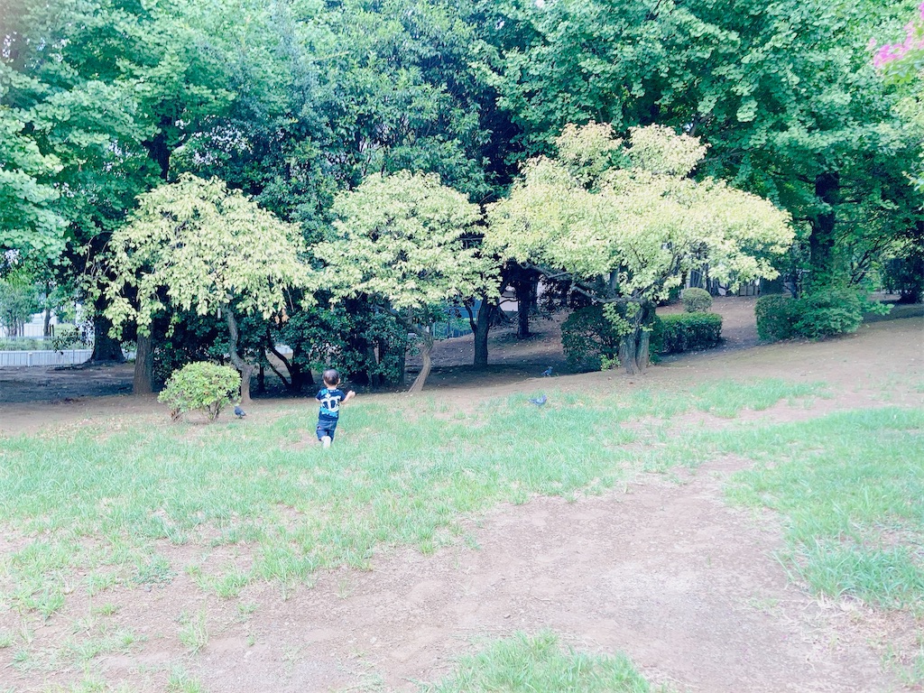 f:id:qsmet:20230807201218j:image