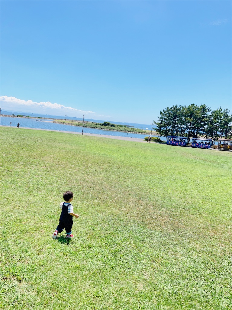 f:id:qsmet:20230812155220j:image
