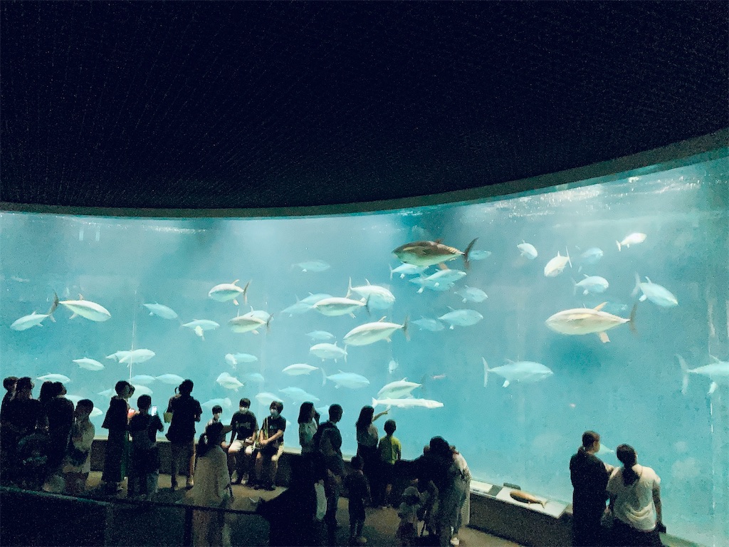 f:id:qsmet:20230812155307j:image