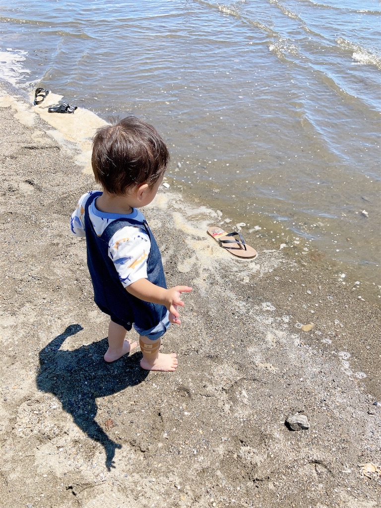 f:id:qsmet:20230812155318j:image