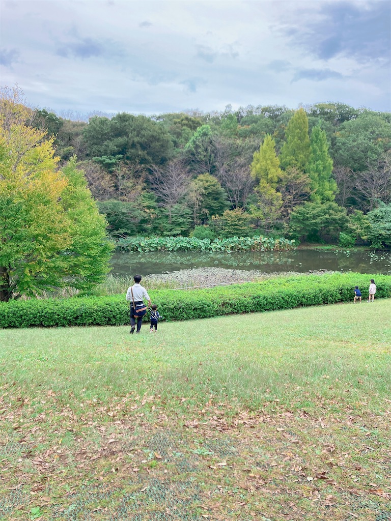 f:id:qsmet:20231008193018j:image