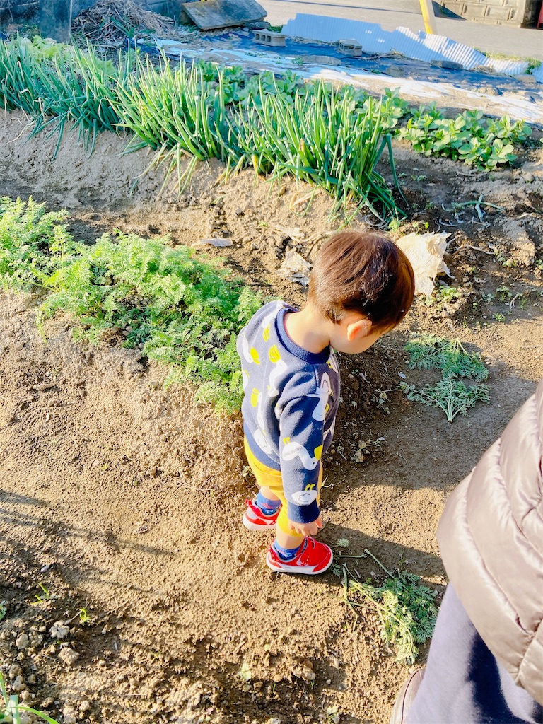 f:id:qsmet:20240103123707j:image
