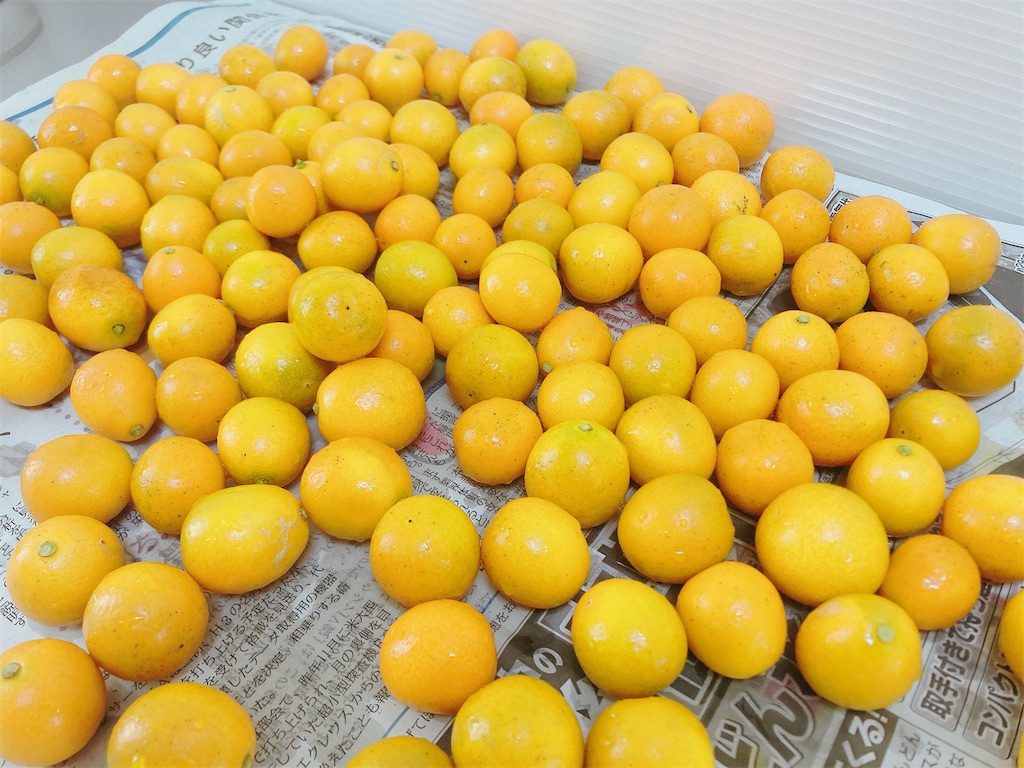 f:id:qsmet:20240127193323j:image