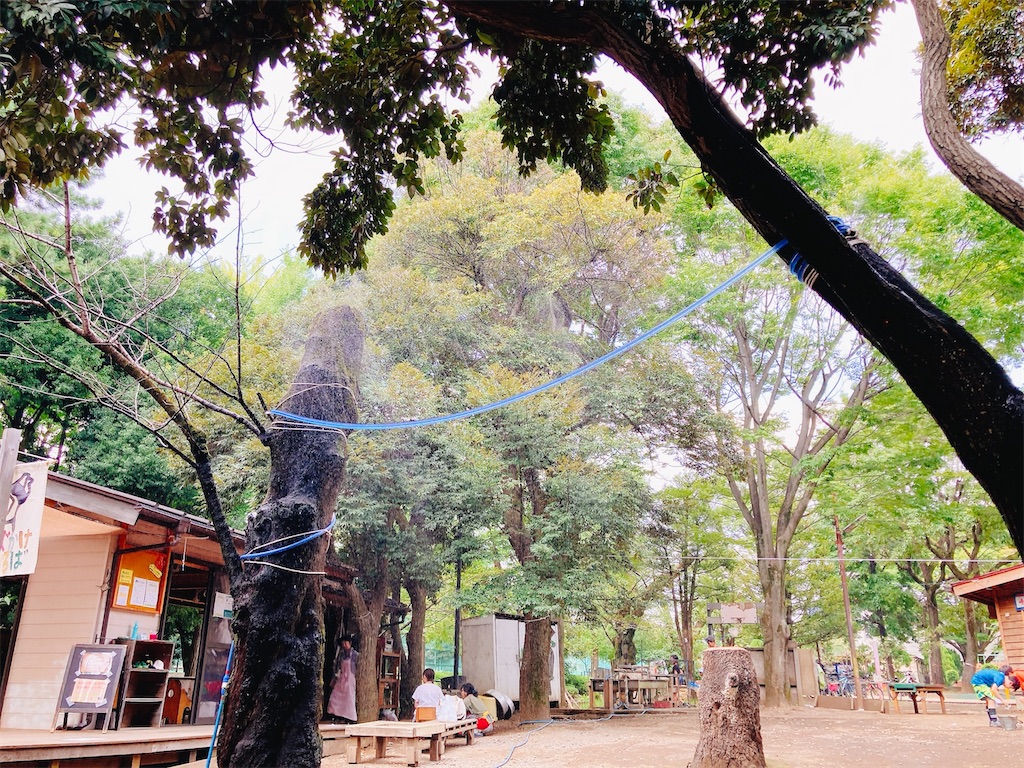 f:id:qsmet:20240909151314j:image