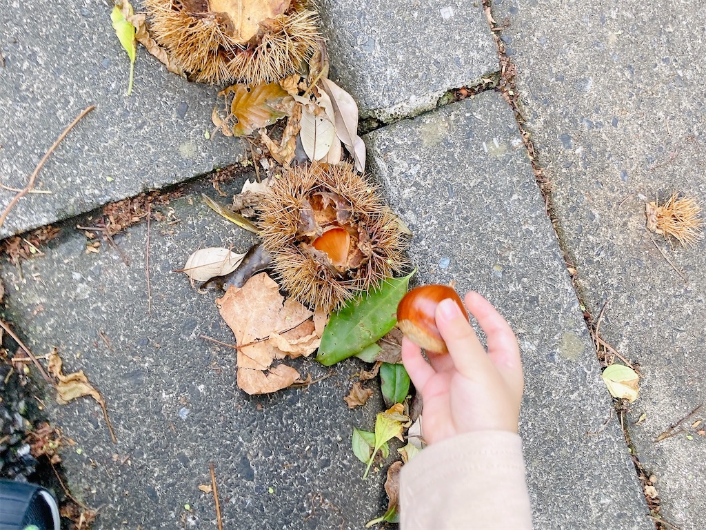 f:id:qsmet:20240926092732j:image