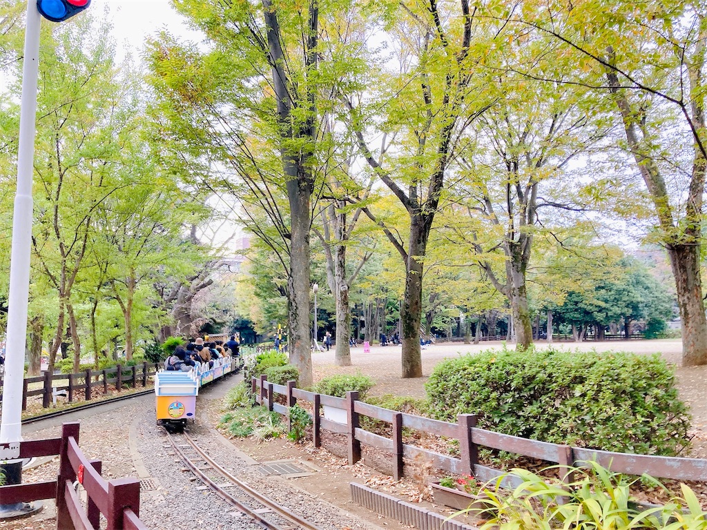 f:id:qsmet:20241112092245j:image
