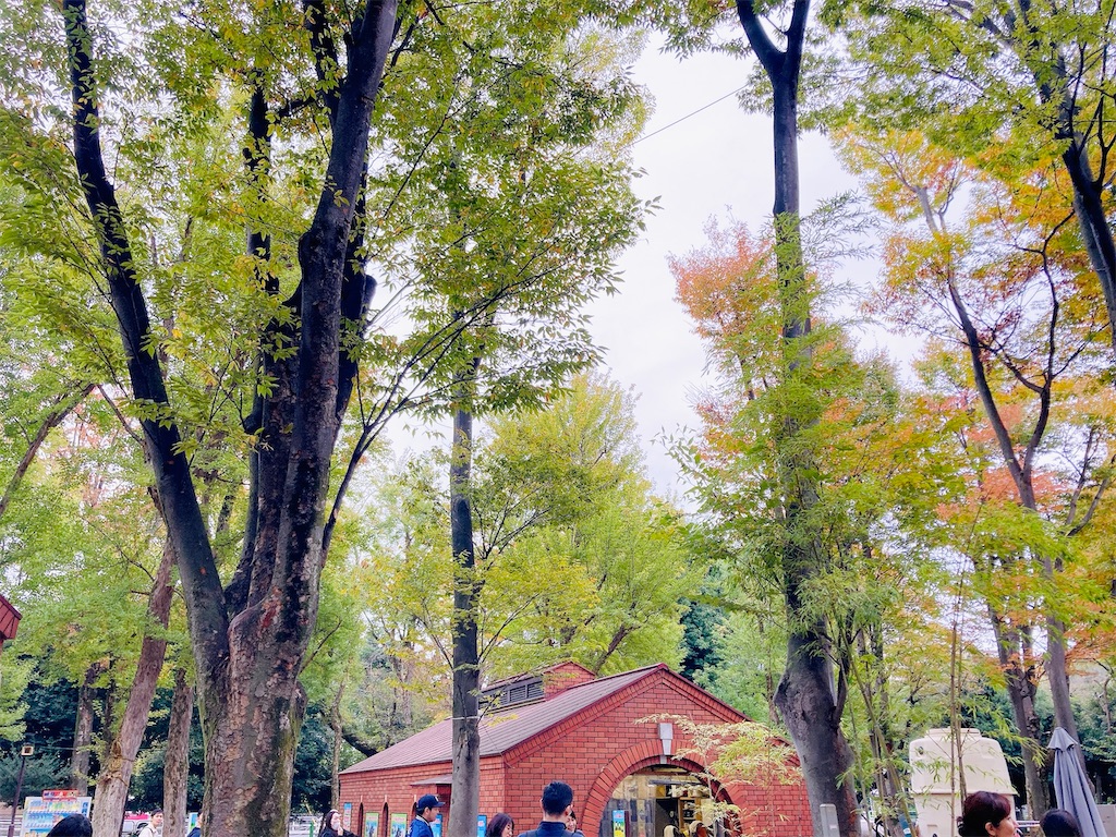 f:id:qsmet:20241112092248j:image