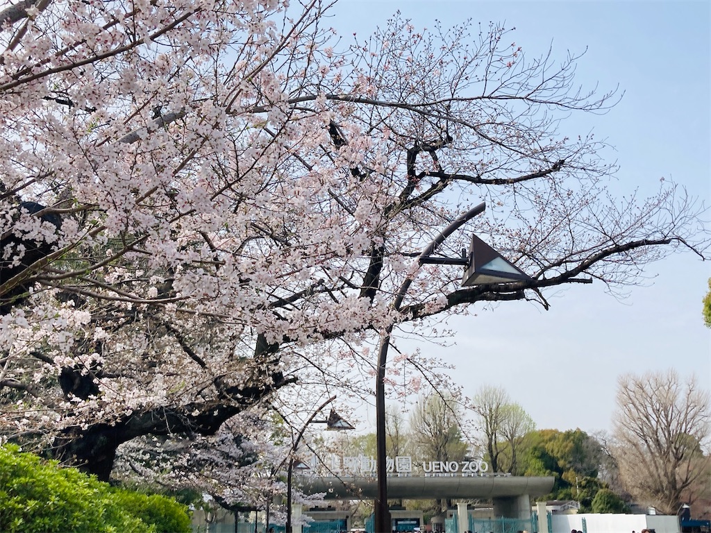 f:id:qsmet:20250330202805j:image