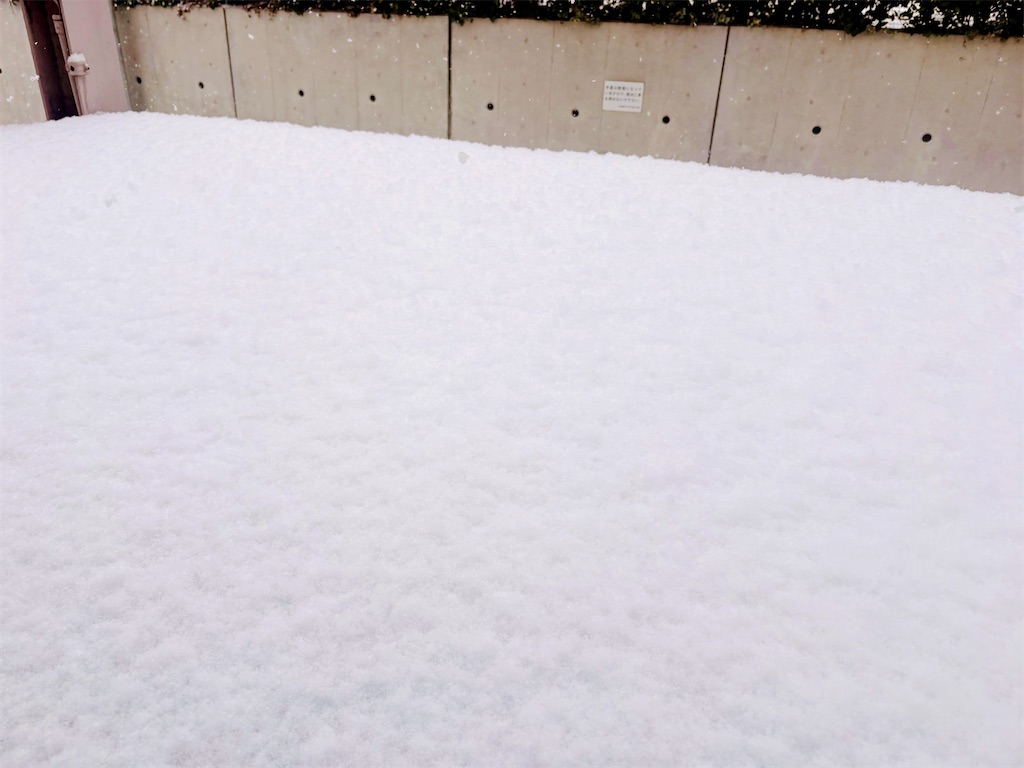f:id:qsmet:20260210132142j:image