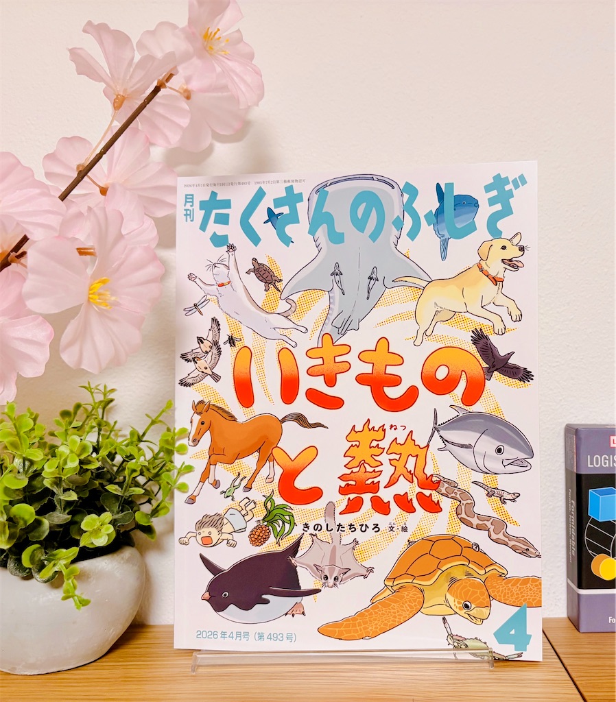 f:id:qsmet:20260308205456j:image