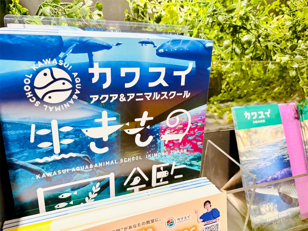 f:id:qsmet:20260412215344j:image