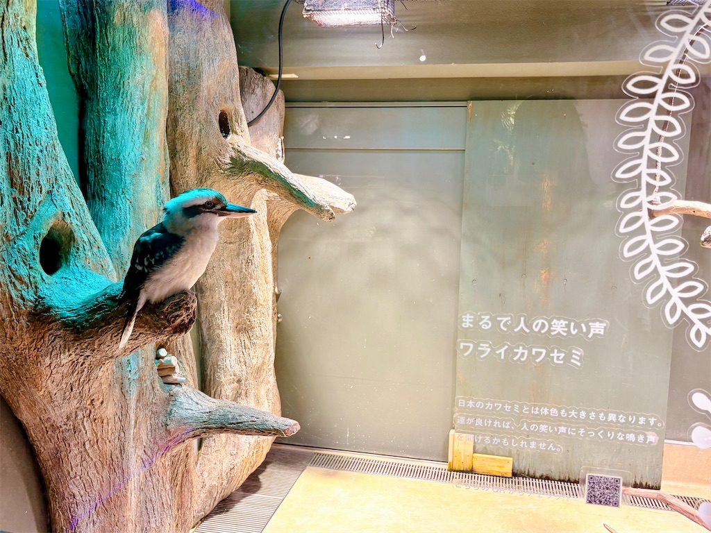f:id:qsmet:20260412215423j:image